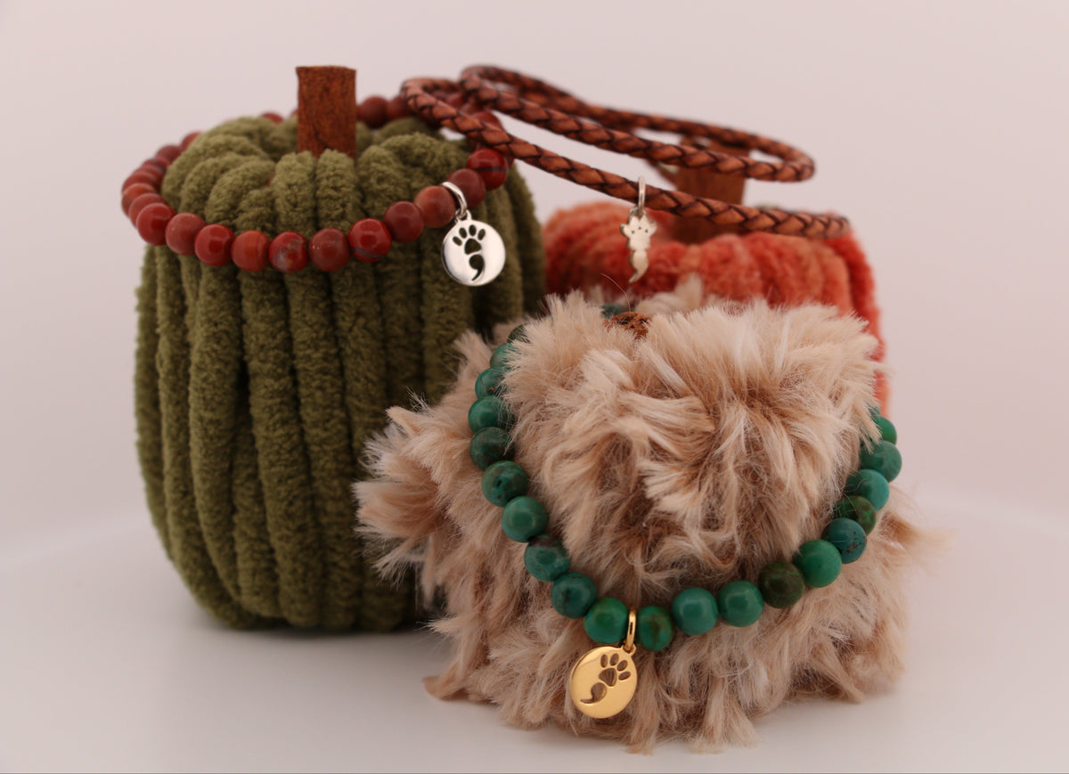 Fall Collection imagery