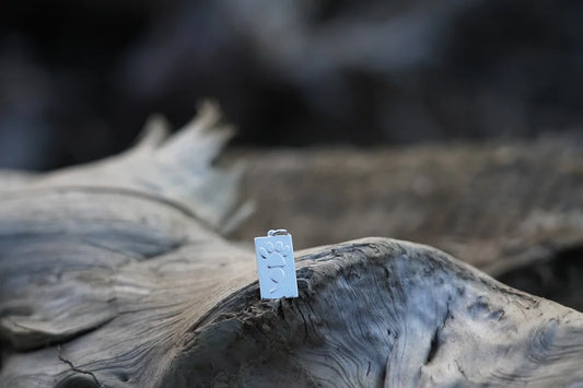 19mm Rectangular Pawmicolon Pendant